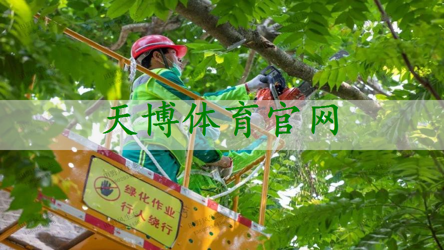 绿化景观色设计让办公室提升员工工作效率。