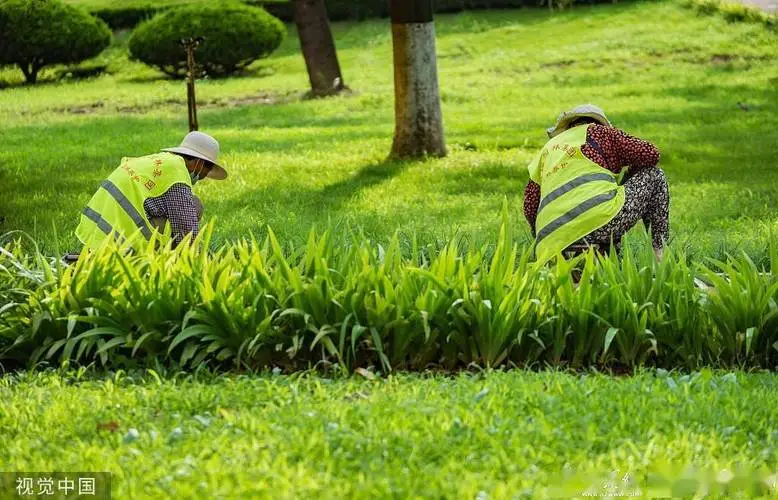 法国植物学家助力中国城市生态环境建设与文旅融合