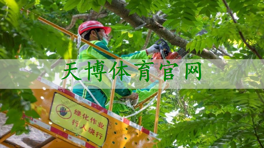 园林保养日渐疏忽，园林管理变得急需改进